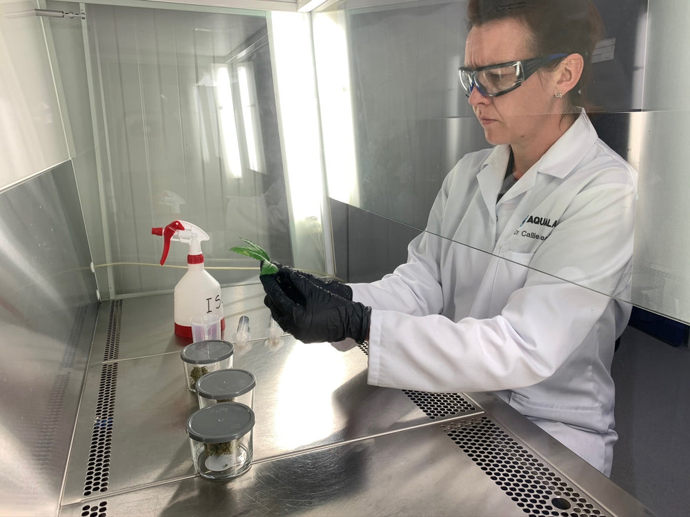 Aqualabs scientist in safety glasses working at a lab bench