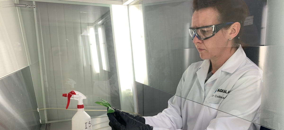 Aqualabs scientist in safety glasses working at a lab bench