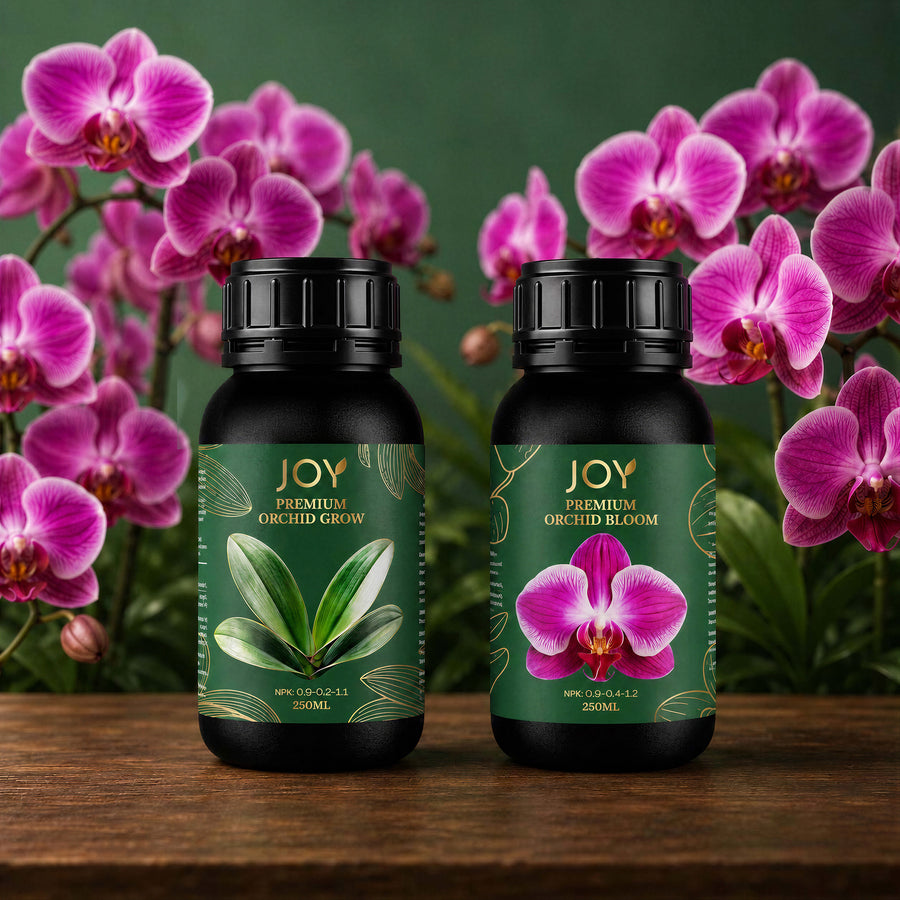 JOY Fertilisers Orchid Grow and Orchid Bloom feeds with pink orchids